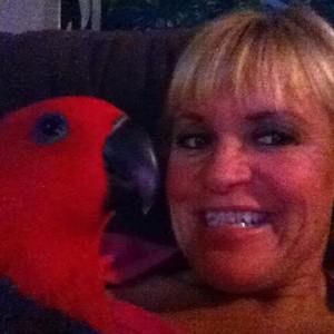 Meet your Posher, Robin